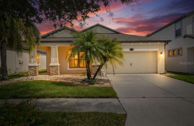 11648 PALMETTO PINE STREET - 11648 Palmetto Pine Street, Riverview, FL 33569