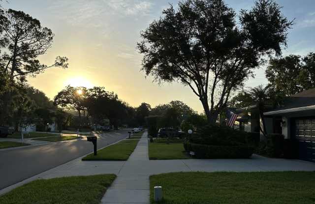 5540 Bent Oak Drive photos photos