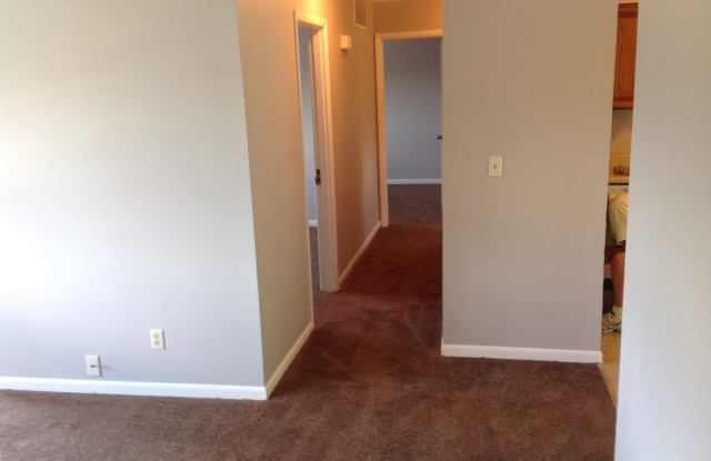 Lovely 3 Bedroom Ranch in Delhi on quiet street. Gallery 4