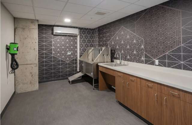 APEX - Student Housing Gallery 2