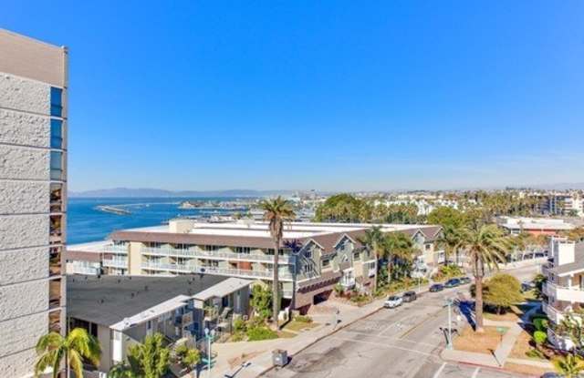 Eddy Seaview Gallery 3