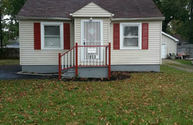11802 McGowan Ave - 11802 Mcgowan Avenue, Cleveland, OH 44135