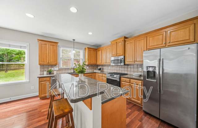 13818 Ballantyne Meadows Drive Gallery 4