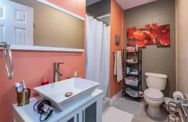 12020 Fruitwood Drive - 12020 Fruitwood Drive, Riverview, FL 33569