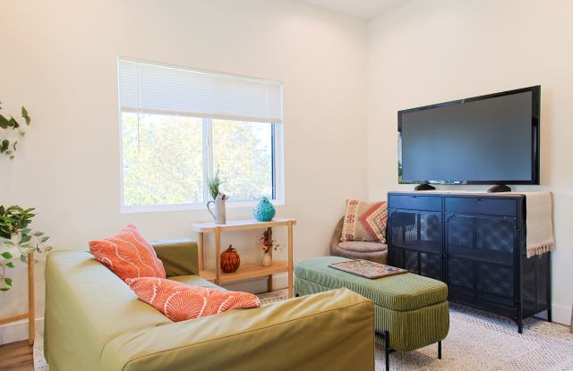 NEW CONSTRUCTION 1 BED + 1 BATH APARTMENTS IN HIGHLAND PARK! photos photos