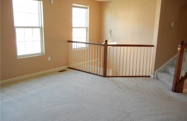 224 Persimmon Gallery 3