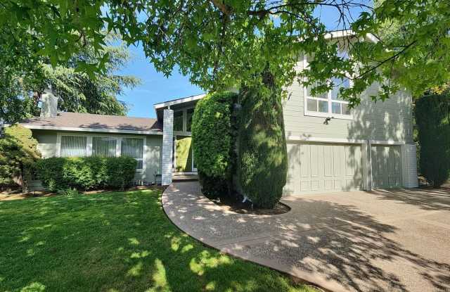 Large Single Family Home with Stunning View of Mt. Diablo photos photos