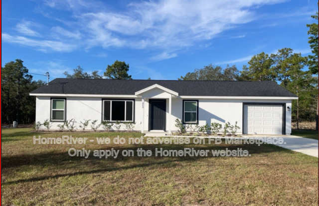 353 Fisher Way - 353 Fisher Way, Marion County, FL 32179
