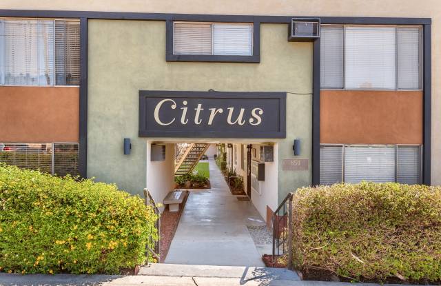 850 North Citrus Drive - 850 North Citrus Drive, La Habra, CA 90631