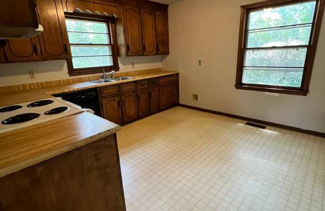 3BD/ 2BA W Fredericks Street Gallery 4