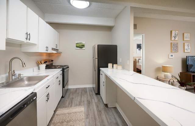 Raven photos photos Raven photos photos