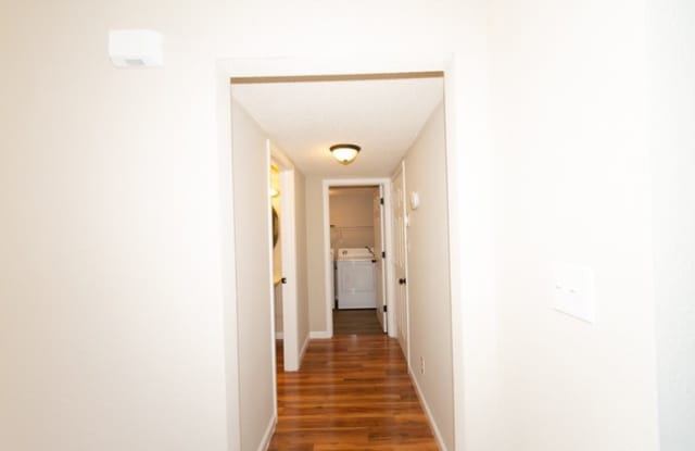 4161 Canapple Drive Gallery 4