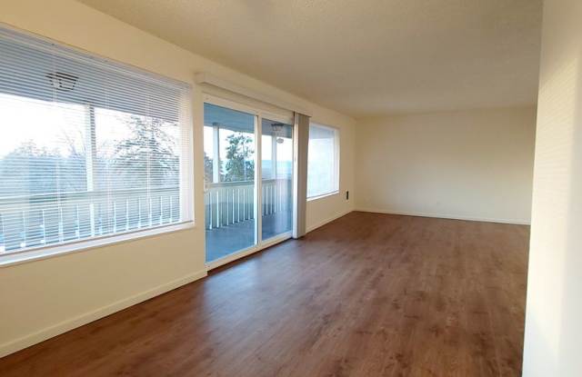 Welcome to Sun Vista Apartments photos photos