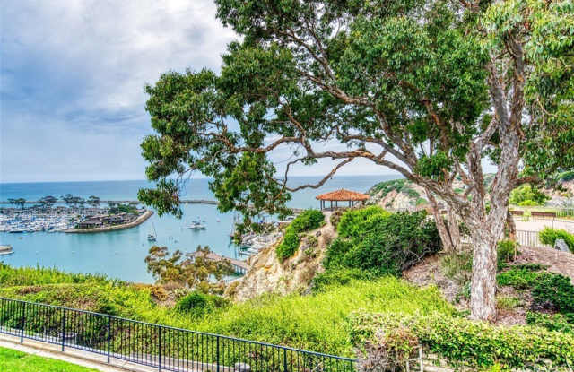 24242 Santa Clara Avenue - 24242 Santa Clara Avenue, Dana Point, CA 92629