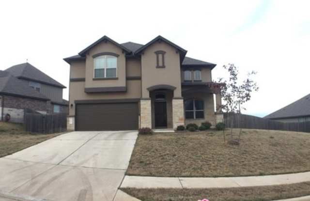 13517 Larrys Lane - 13517 Larrys Lane, Manchaca, TX 78652