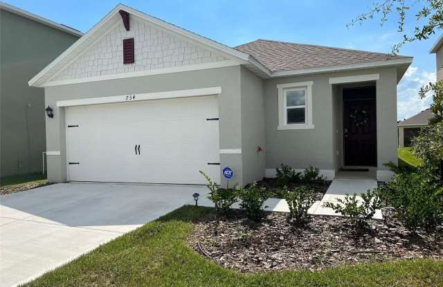 734 CHINOY ROAD - 734 Chinoy Road, Polk County, FL 33837