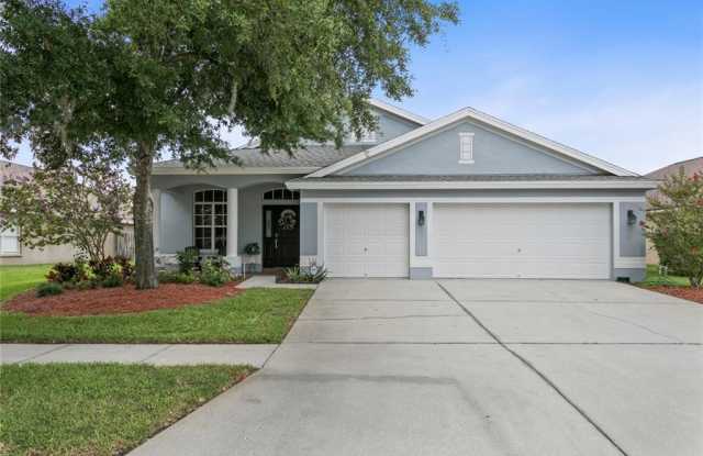 10125 DOWNEY LANE - 10125 Downey Lane, Westchase, FL 33626