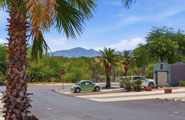 1310 S Desert Meadows Cir Gallery 2