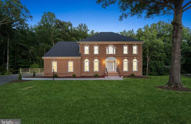 10899 WOODLAND FALLS DRIVE Gallery 3