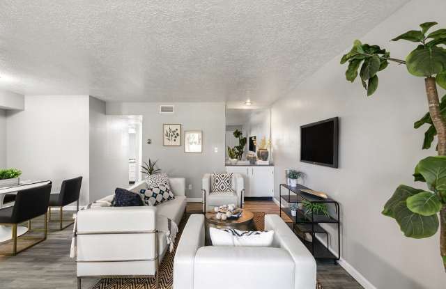 Rancho Verde Gallery 4