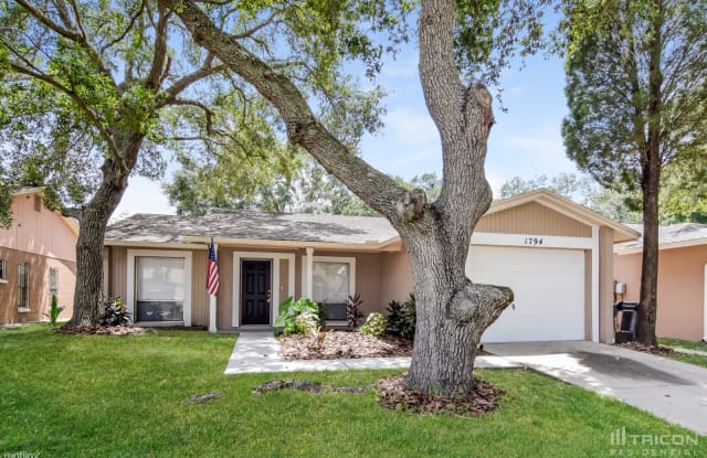 1794 Lakeview Village Drive - 1794 Lakeview Village Drive, Brandon, FL 33510