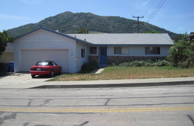 4 bed 3 baths!  House ideally located close to campus, shopping, Bishop Peak Gallery 3