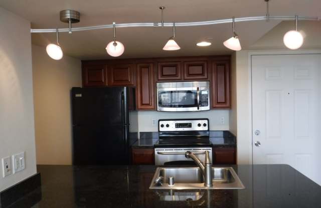 Newly Remodeled Downtown Stunner - Arlington Towers! photos photos