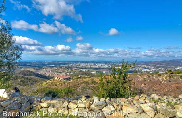 404 Washingtonia Drive - 404 Washingtonia Drive, San Marcos, CA 92078