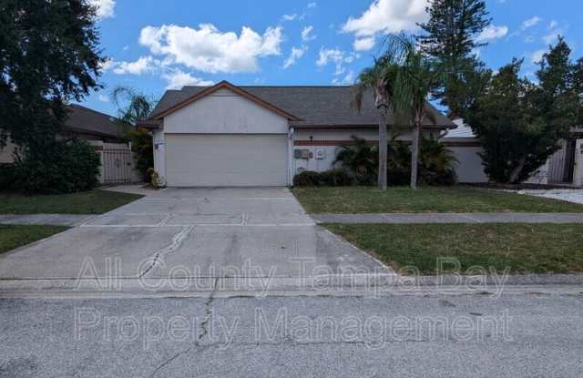 10914 Landon Ln - 10914 Landon Lane, Town 'n' Country, FL 33635