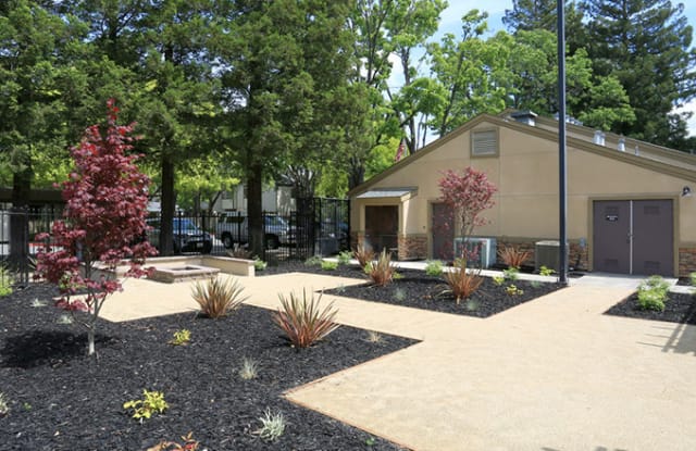 Laurel Creek Gallery 3