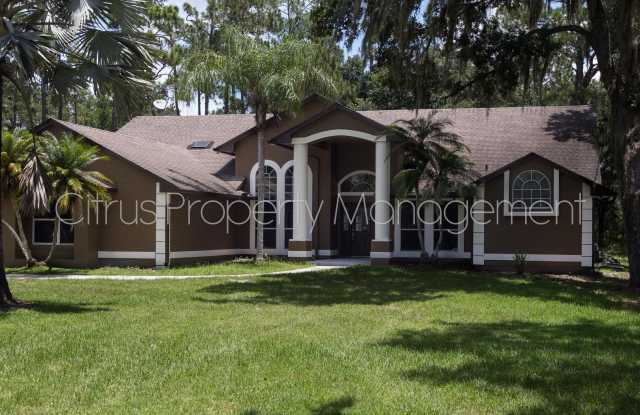 Spacious 4/3 Pool home in Live Oak Estates - 12153 Gray Birch Circle, Lake Mary Jane, FL 32832