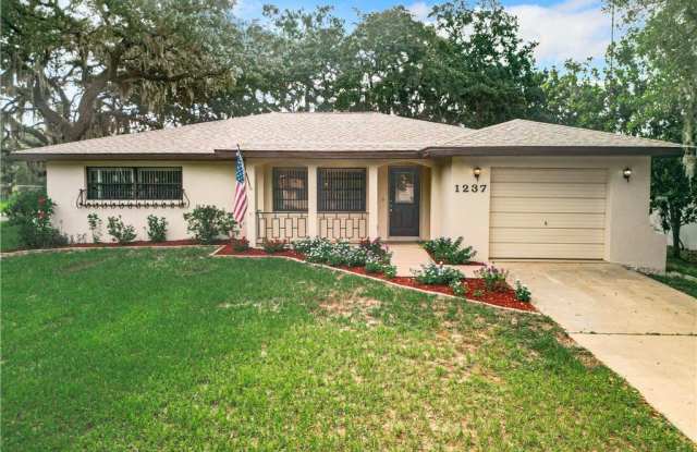 1237 N Lion Cub Point photos photos