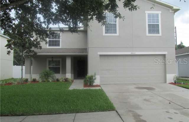 30849 TEMPLE STAND AVENUE - 30849 Temple Stand Ave, Wesley Chapel, FL 33543