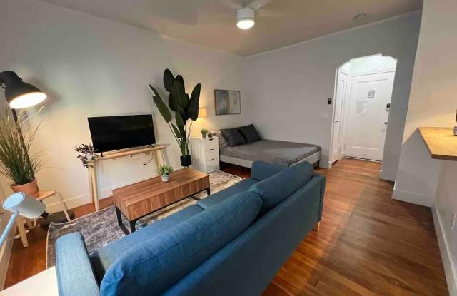 2050 Dracena Dr. photos photos