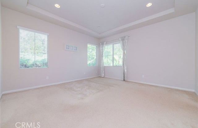 183 Bright Poppy photos photos