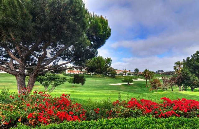 7 Wimbledon - 7 Wimbledon Court, Dana Point, CA 92629