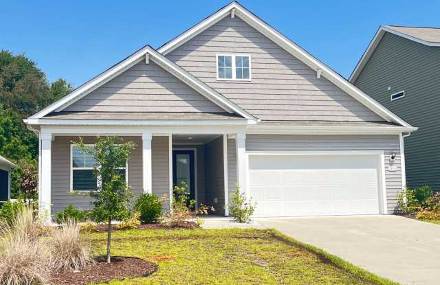 Four-Bedroom, Unfurnished House With Garage Now Availalble in The Parks at Carolina Forest! photos photos