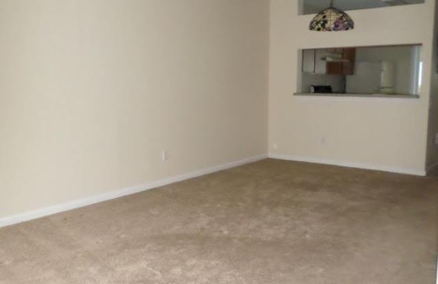 12311 Kensington Lakes Dr #205 Gallery 3