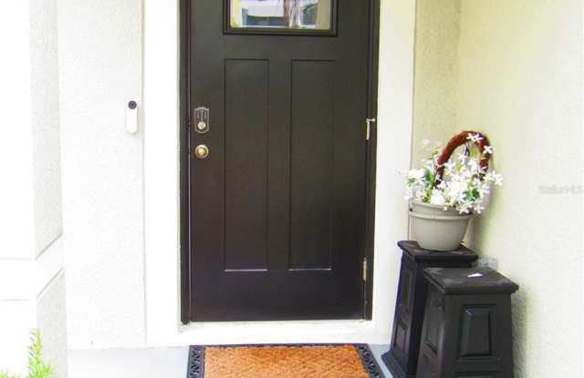 10438 SHADY PRESERVE DRIVE Gallery 4