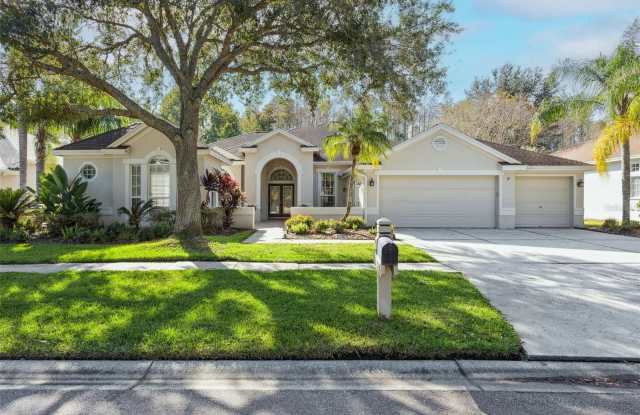 5206 REFLECTIONS BOULEVARD - 5206 Reflections Boulevard, Keystone, FL 33558