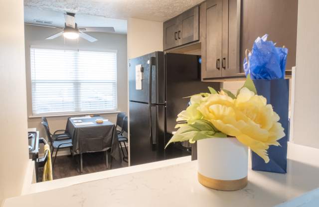 Ohio Street Townhomes Gallery 3