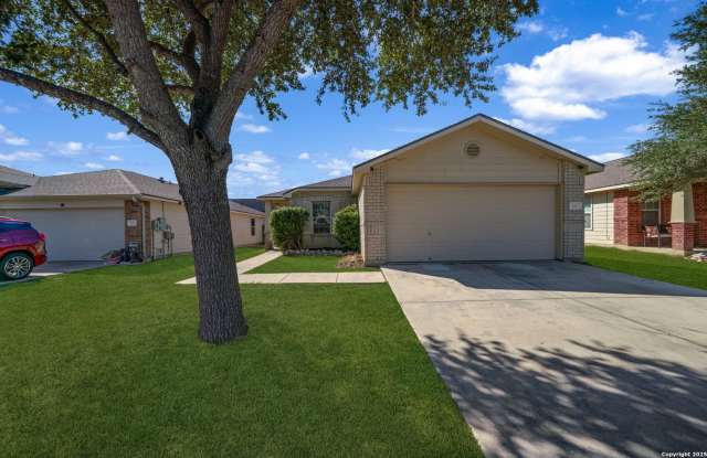 113 Bronco photos photos 113 Bronco photos photos