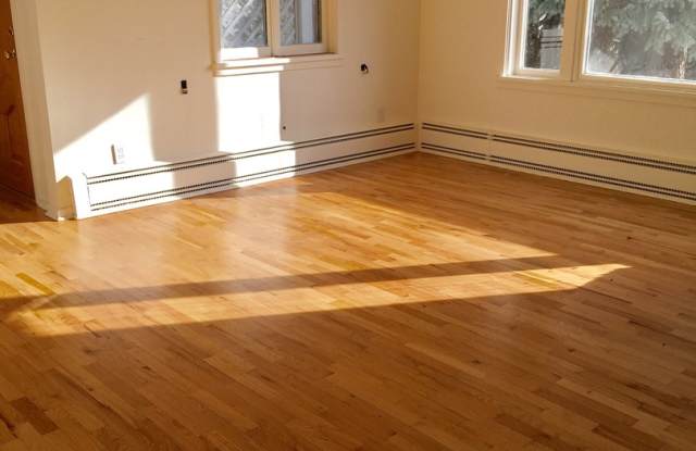 Sunny + Bright Near Sunset Park in Old Town Longmont! Gallery 4