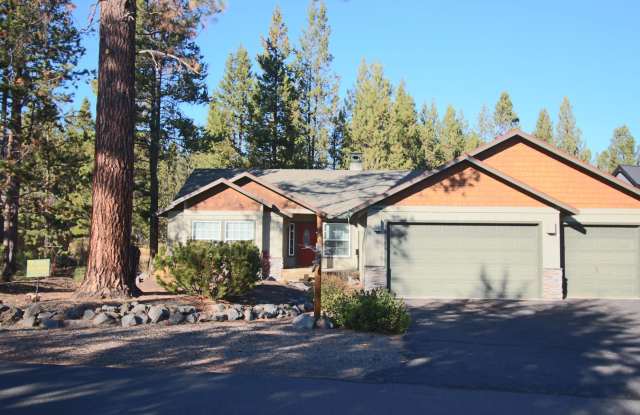 16806 Pony Express Way - River Meadows Subdivision photos photos