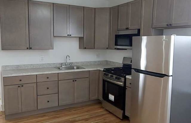 3915 West Potomac Ave. - 3915 West Potomac Avenue, Chicago, IL 60651