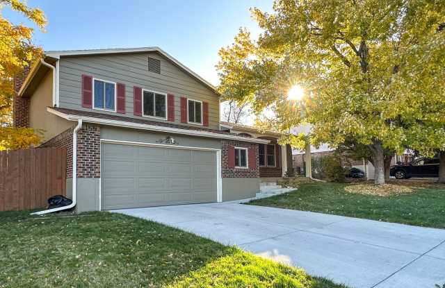 Updated Single-Family Home with Large Backyard in Littleton Gallery 3
