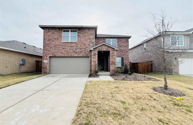 1245 Herring photos photos