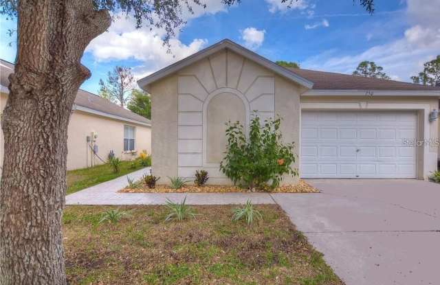 750 CAPE COD CIRCLE - 750 Cape Cod Circle, Valrico, FL 33594