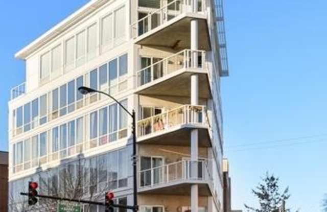 3110 North Greenview Ave. Gallery 3