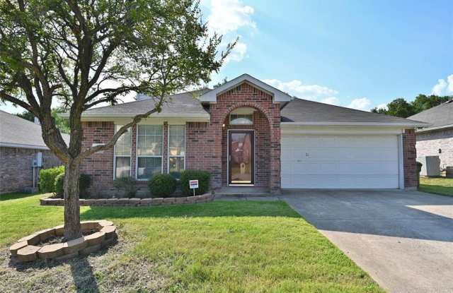 4413 Waterbird Lane - 4413 Waterbird Lane, Garland, TX 75043